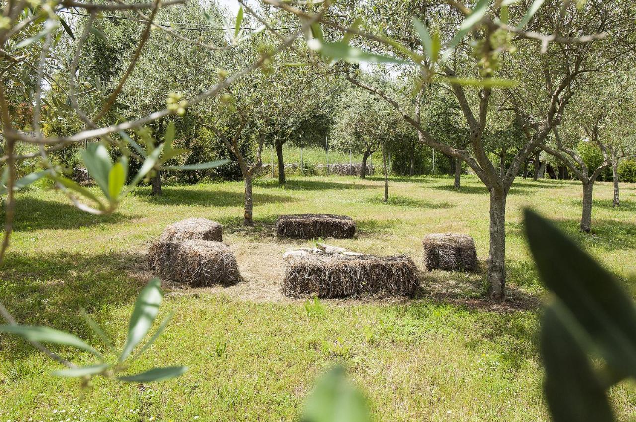 B&B Trulli Valle D'Itria Martina Franca Ngoại thất bức ảnh