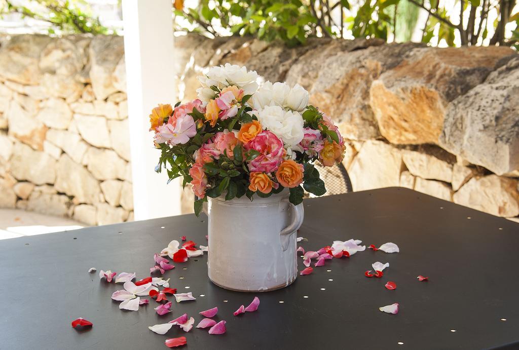 B&B Trulli Valle D'Itria Martina Franca Ngoại thất bức ảnh